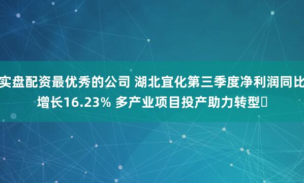 实盘配资最优秀的公司 湖北宜化第三季度净利润同比增长16.23% 多产业项目投产助力转型​